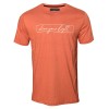 Remera shine