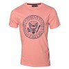 Remera Ramones