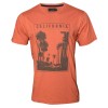 Remera California