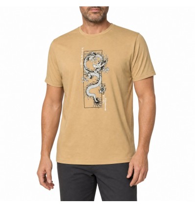 Remera Dragón